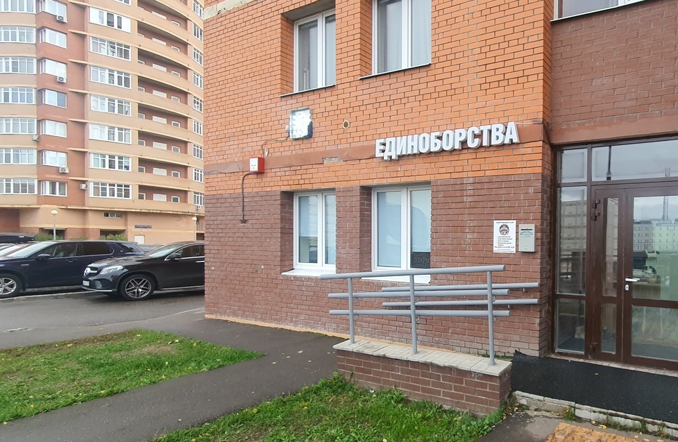 Описание изображения